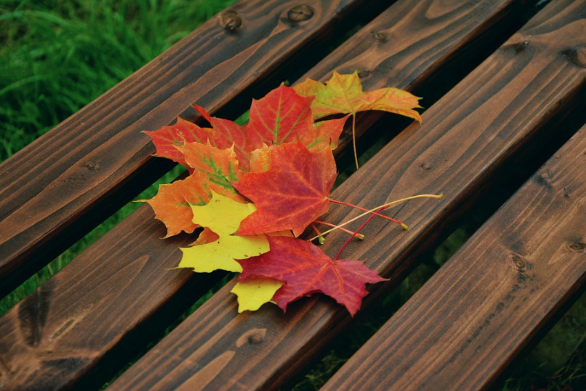 Creative Fall Play Ideas for Children